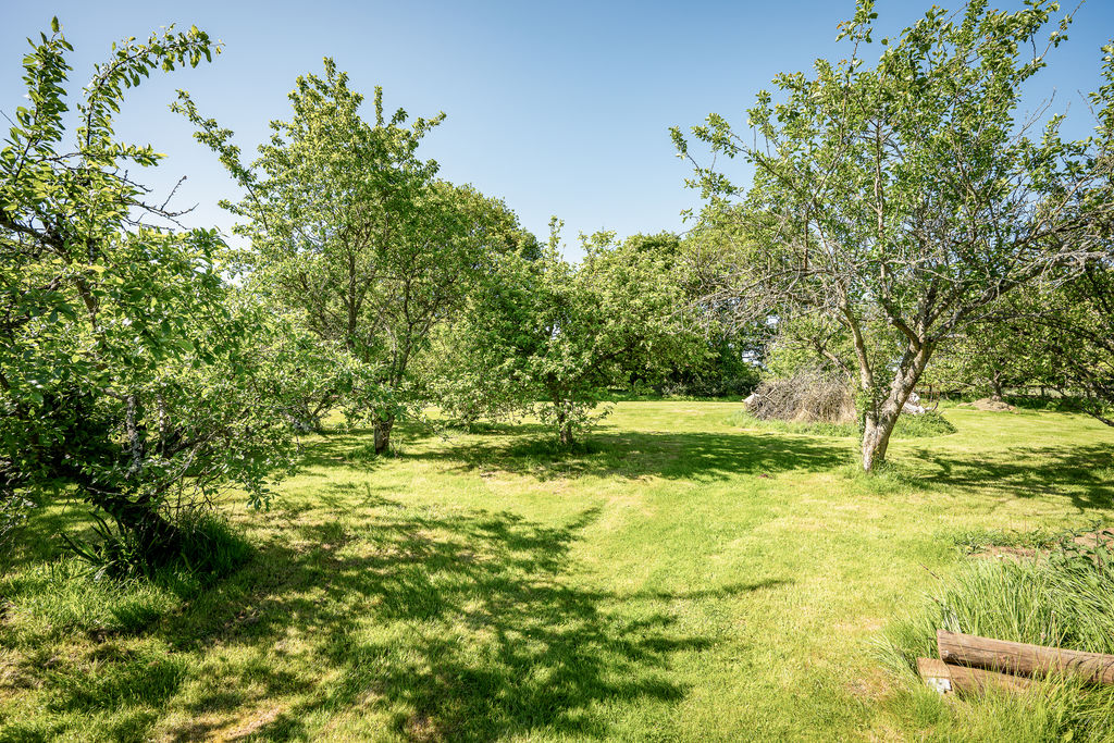 Garden- click for photo gallery